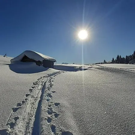 Cesa Ines 아파트 *