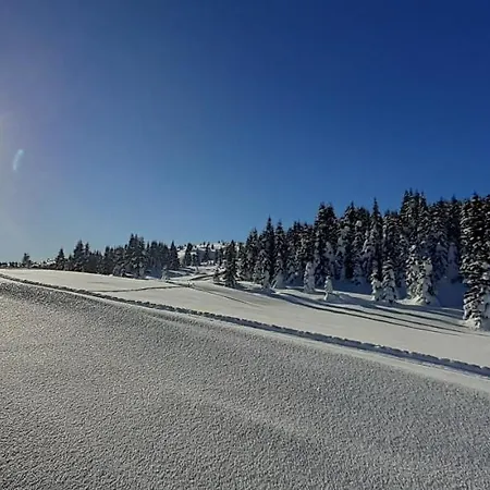 Cesa Ines * 아라바