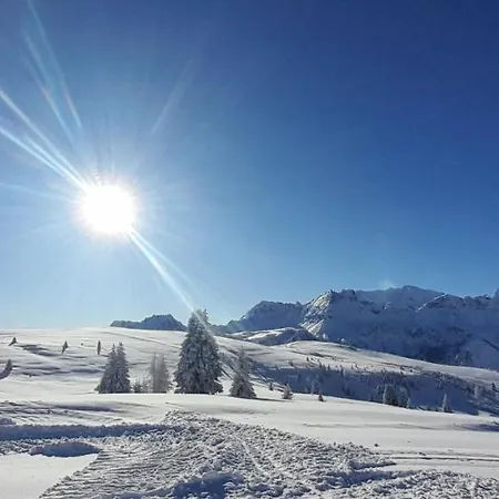 Lejlighed Cesa Ines