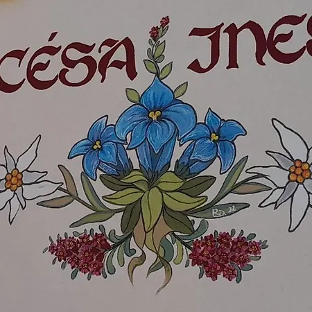 Cesa Ines *