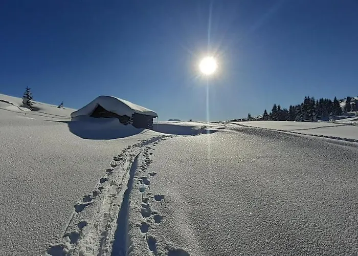 Cesa Ines 아파트 *