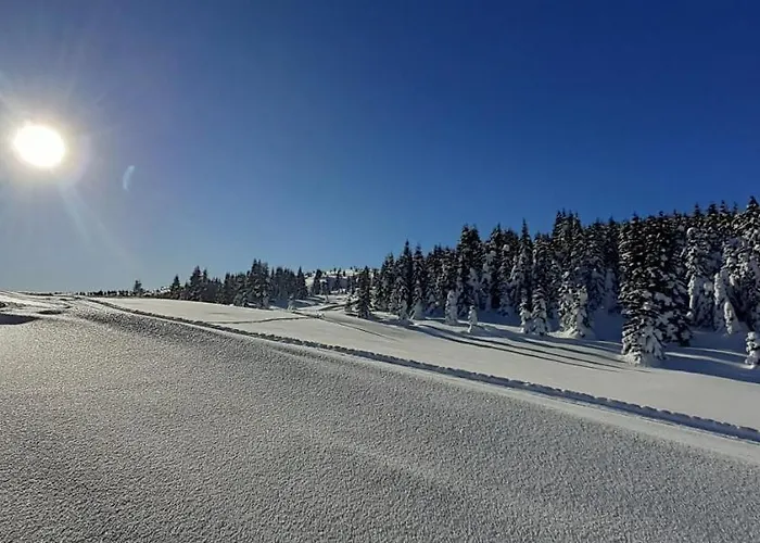 Cesa Ines * 아라바